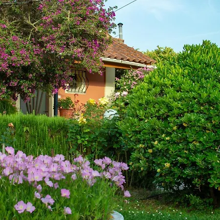 Rose Garden בית נופש *
