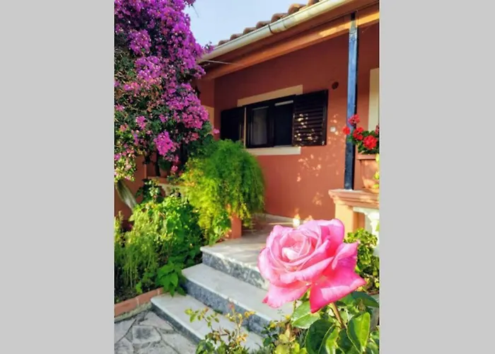 Rose Garden Melíkia
